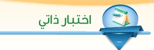 اختبار ذاتي